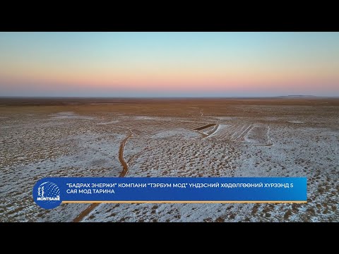 “Бадрах Энержи” компани “Тэрбум мод” үндэсний хөдөлгөөний хүрээнд 5 сая мод тарина