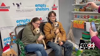 Video: Two missing dogs reunited with Pawhuska family after month apart