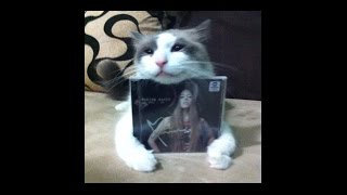 Marion Raven - "Here I Am" 10th anniversary!