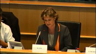 Gál Kinga a Tavares-jelentés tervezetének első vitájában (angol nyelvű videó)