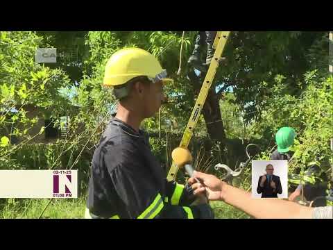 Cuba: Acciones para restablecer redes eléctricas en Guantánamo