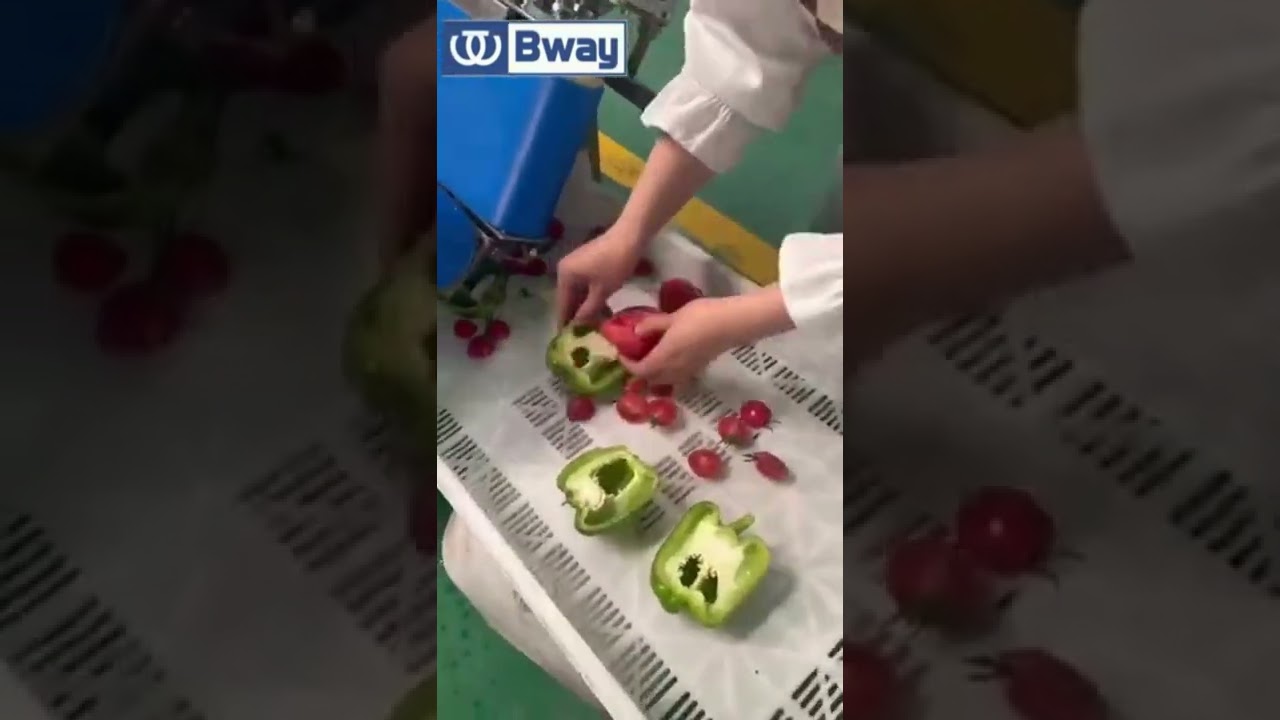 chili pepper half cutting machine smooth cut also can cut tomato gourd