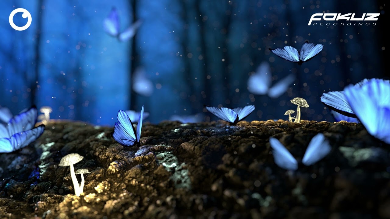 Chiccoreli - In My Dreamz