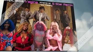 Cupcakke  Vagina (Whenever Your Ready) (5 Star Remix)