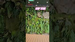 PART 2: My First Time Sailing on MSC - Ship Tour #cruisetravel #shiptour