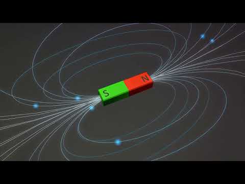 Compass 101: Your Guide to Never Getting Lost!