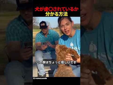 犬が虐〇されているか分かる方法