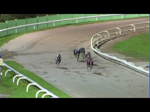 2020 PUPPY TROPHY FINAL - T1 BALLYDOYLE RAZOR