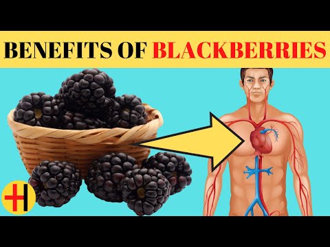 BLACKBERRIES BENEFITS | Top 10 Incredible  Health Benefits Of Blackberries