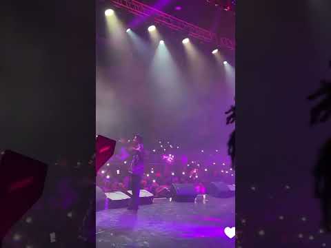 Shallipopi And Zlatan Performed Elon Musk For The First Time