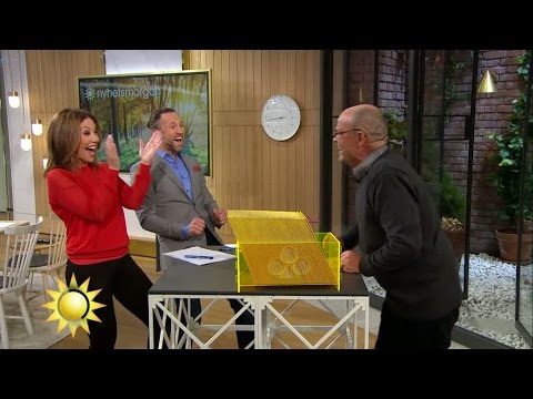 "Vilket vrål! Jag älskar det, Kalle!" - Nyhetsmorgon (TV4)