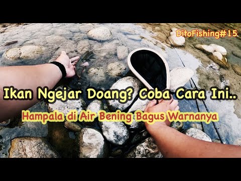 SEDIKIT TIPS CASTING HAMPALA AIR BENING 💥 | Trip Mancing Bareng GARNIS PANCING | Sungai Oya | DF #15