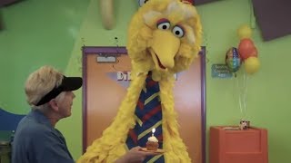 Big Bird Birthday Bash | Sesame Place