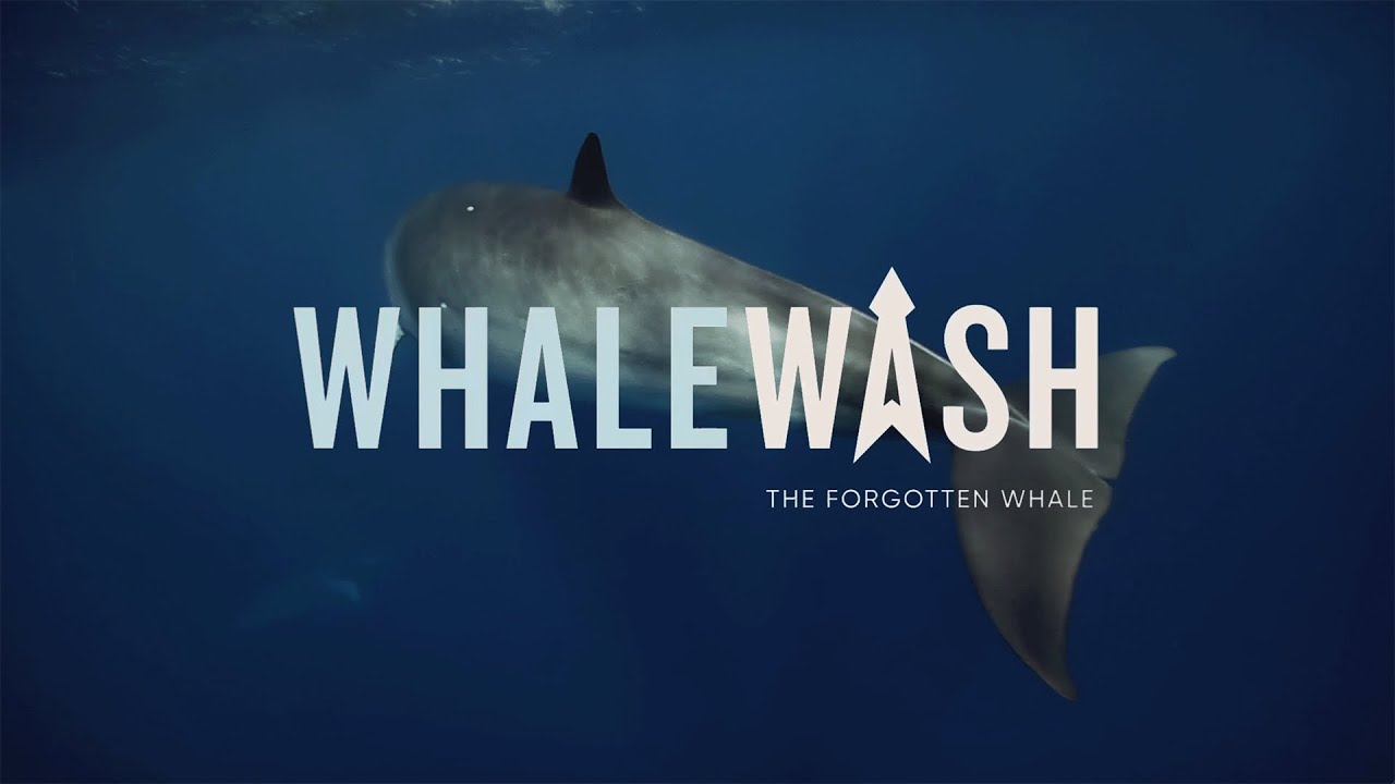 ESPA Offical Trailer: Whale Wash - The Forgotten Whale