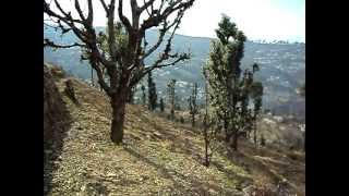 preview picture of video 'Buy land in Mukteshwar, himalayan view land Call - 09720 - 1616 - 66 - Mukteshwar Uttarakhand'