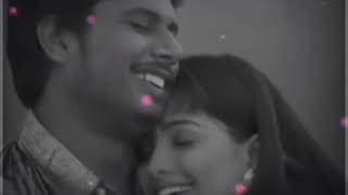 Tamil Whatsapp Status Video  Adi Anarkali Song
