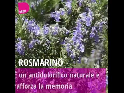 Una piccola lunghezza di un membro Come utilizzare il sedano per aumentare la potenza
