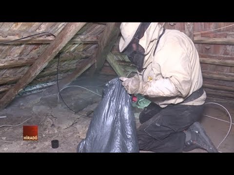 elektromos féregkezelés hogyan kezelik a rossz leheletet