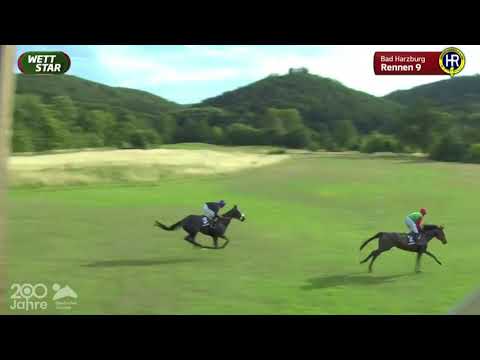 Harzburger Seejagdrennen 2022