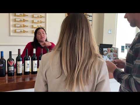 Discover Baja's Hidden Vineyards