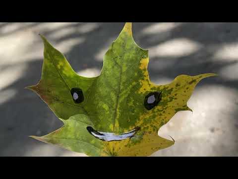 Inan€ - Lebewesen [Official Video]