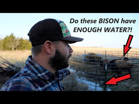 Setting up an emergency water system for the BISON