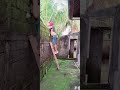 NGINTIP TETANGGA Komedi Lucu Lawakbusungbiu Sekedarhiburan Ngakak Funny Istrikuat Bali