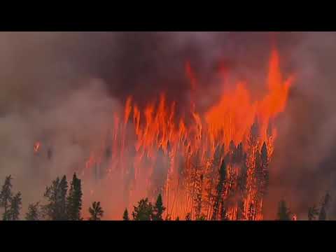 Via Daca ft  Frate Gheorghe - Arde Padurea (Unofficial Remix)