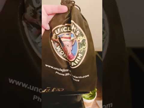 Worm farm 360! Let’s start a worm compost together. First video 🤞