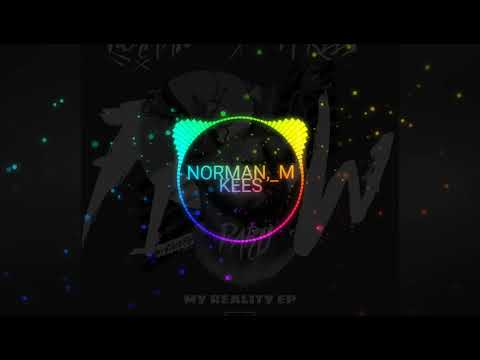 NORMAN ft M KEES-party flow RMX 2k19