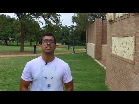 Nootropics for Aging - Surprising Tools for Anti-Aging As We Await the Longevity "Big Win"