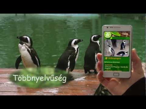 ZooGuide Szeged Video