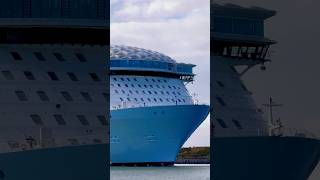 Utopia of the Seas 🛳️ #travel #travelvlog #subscribe #cruiseship #cruise #vacation #shorts #short