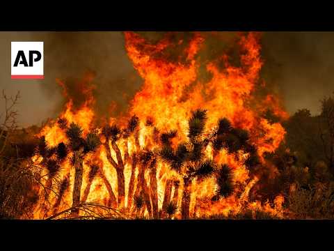 Video Thumbnail: Wildfires are becoming more severe and exceeding what forests can handle