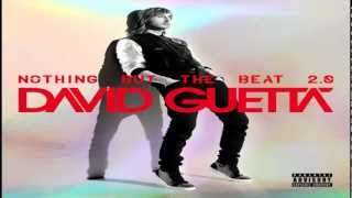 David Guetta - Metropolis (Official Edit)