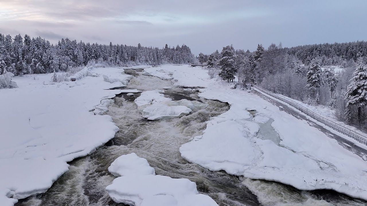 Chocomelk in het natuurpark