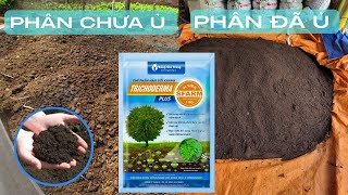 Chất Lượng Phân Bò Sau Khi ủ Với Chế Phẩm Sinh Học TRICHODERMA || 2023