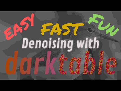 Easy 3-Step Denoise in Darktable 3.8 (Under one minute)