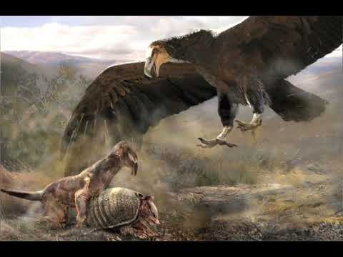 Argentavis Sounds