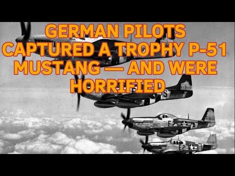 GERMAN PILOTS CAPTURED A TROPHY P-51 MUSTANG — AND WERE HORRIFIED