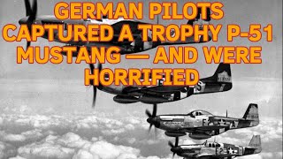 GERMAN PILOTS CAPTURED A TROPHY P-51 MUSTANG — AND WERE HORRIFIED