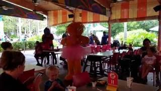 Sesame Street&#39;s Safari of Fun: HI, My name is Zoe