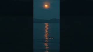 Download lagu Bepanah Ishq ❣️#bepanahishq #payaldev #yasirdesai #nature #naturelovers #viral #statusgirl #shorts mp3 Download lagu Bepanah Ishq ❣️#bepanahishq #payaldev #yasirdesai #nature #naturelovers #viral #statusgirl #shorts mp3