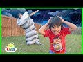 How Do Tornadoes Form??? |  Educational Video for kids with Ryan ToysReview