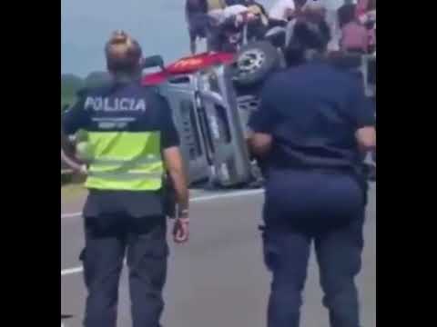 Pergamino: Chocó una camión que transportaba ganado y  la gente vino a faenarlo ahí mismo