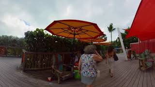 First Cruise Experience 