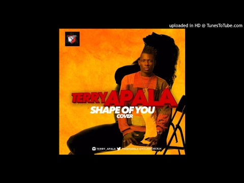 Terry Apala - Shape of You (Ed Sheeran Cover)