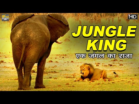 एक जंगल राजा की विरासत The Legacy Of A Jungle King | World Documentary HD