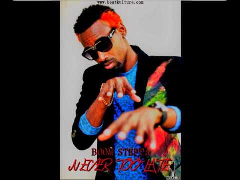 Boom Steppa-Never Too Late