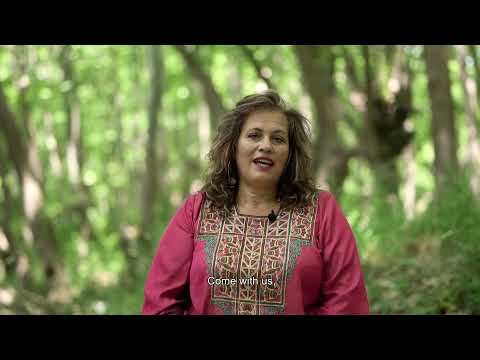 The Μetamorphosis Project